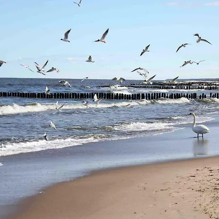 Apartment Poppy Kolobrzeg