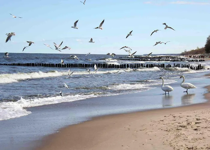 Apartment Poppy Kolobrzeg